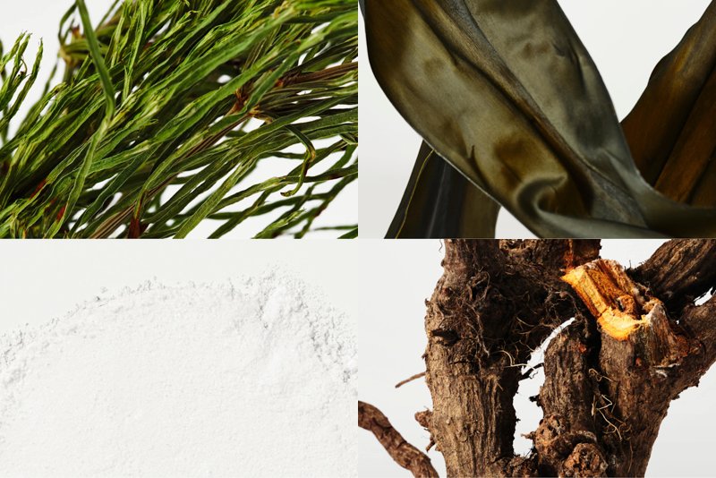 Other Supporting Ingredients in Nutrafol Men